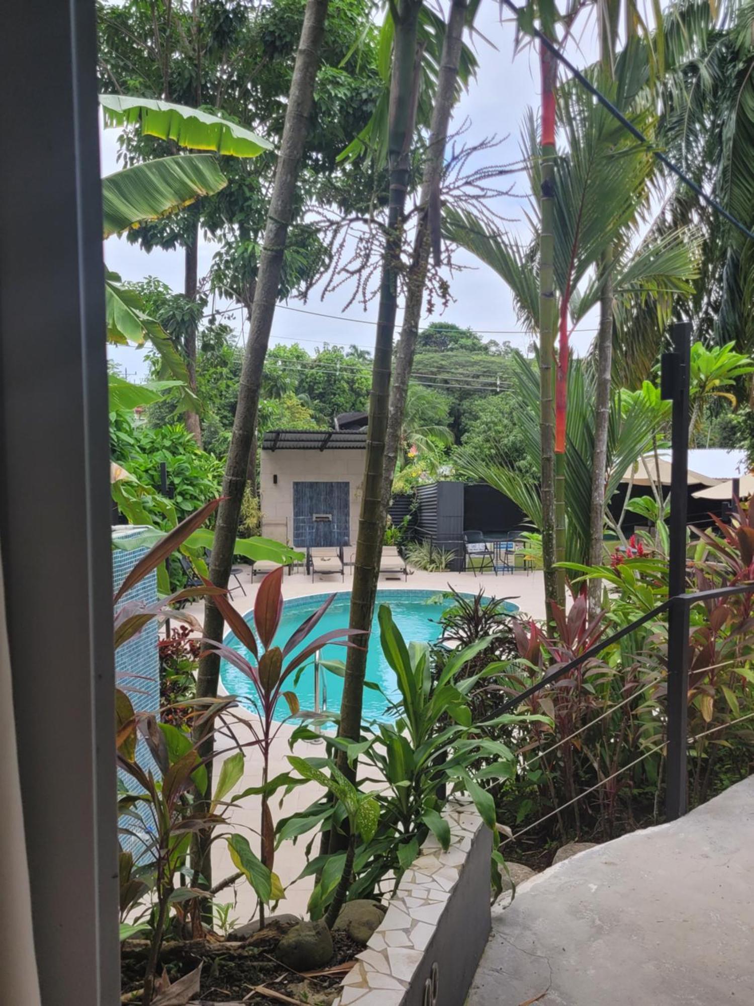 Tico Tico Villas - Adult Only Manuel Antonio Exterior photo